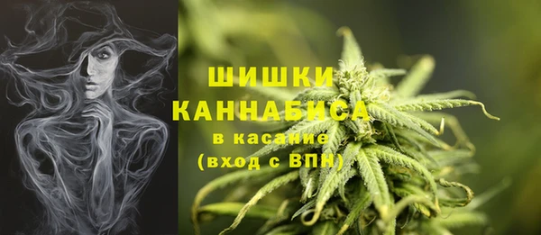 соль ск Абаза